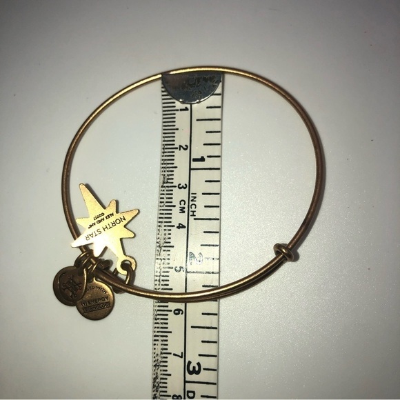 X2 Alex & Ani Bracelets Bronze & Silver Tone Adjustable / 2.1” Diameter - Picture 6 of 7